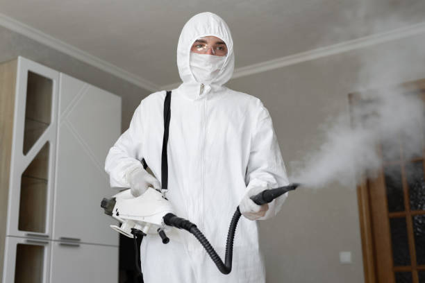 Mold Remediation for Vacation Homes in New Lenox, IL